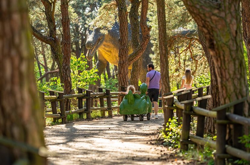 Ścieżka edukacyjna z dinozaurami3